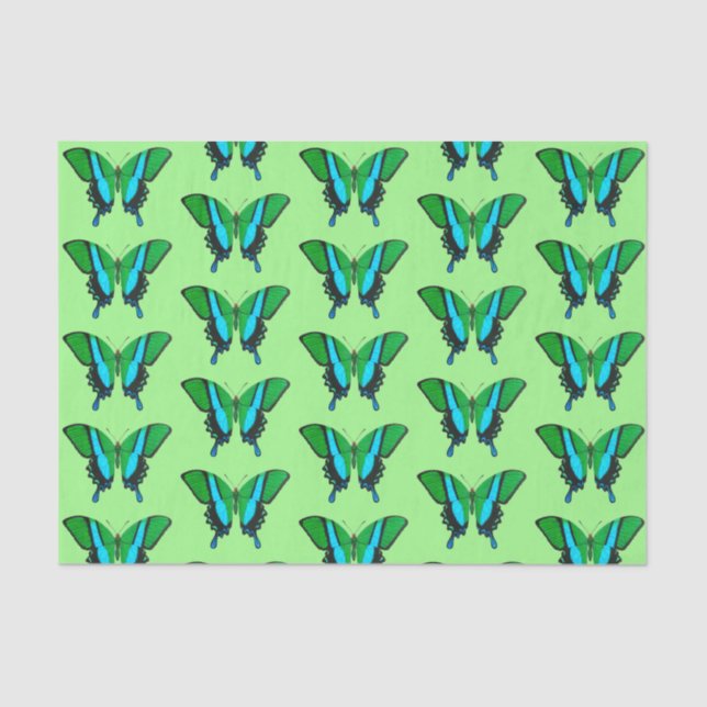 Papier Mousseline Papillon Swallowtail en vert, turquoise et noir (Recto)