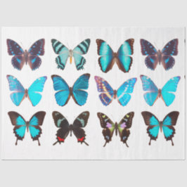 Papier Mousseline Papillons bleus Collection Papillons Découpage