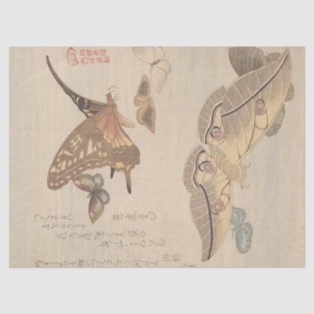Papier Mousseline Papillons et papillons de nuit par Kubo Shunman (Recto)