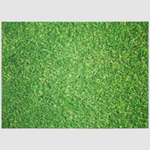 Papier Mousseline Parcours de golf arrière - plan d'herbe verte