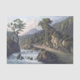 Papier Mousseline Paroisse de Jamaica Rio Cobre St. Thomas