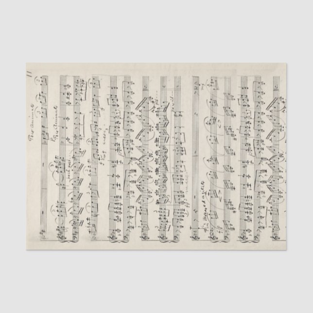 Papier Mousseline Partition Vintage manuscrite pâle (Recto)