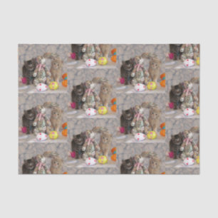 Papier Mousseline Patton et tampons - Papier de tissus de chats