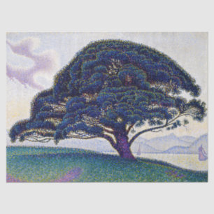 Papier Mousseline Paul Signac - Le pin Bonaventure