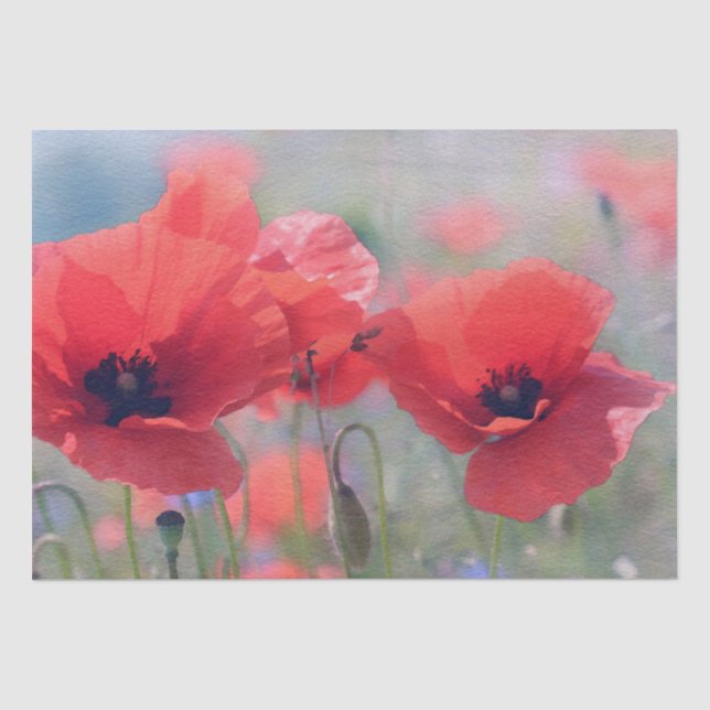 Papier Mousseline Pavot Fleurs aquarelle Peinture Découpage (Recto)