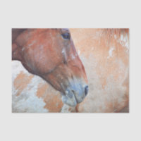 Pays chevalin rustique marron ouest découpage