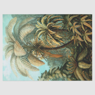 Papier Mousseline Paysage tropical avec palmier
