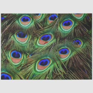 Papier Mousseline Peacock Feathers Arrière - plan Decoupage Tissu Pa