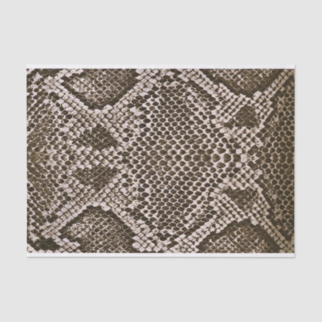 Papier Mousseline Peau de serpent (Recto)