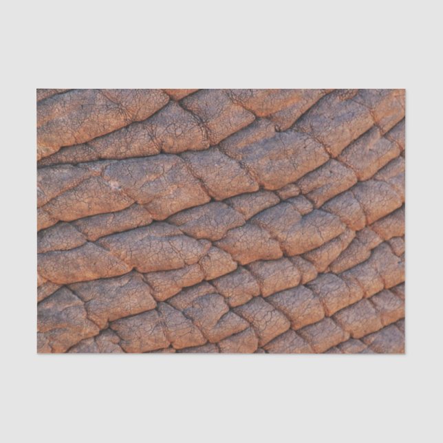 Papier Mousseline Peau d'éléphant (Recto)