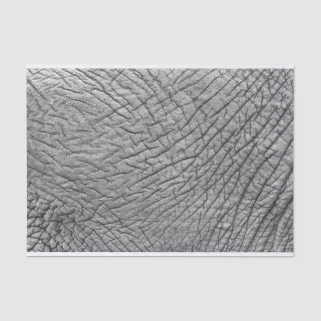 Papier Mousseline Peau éléphante (Recto)