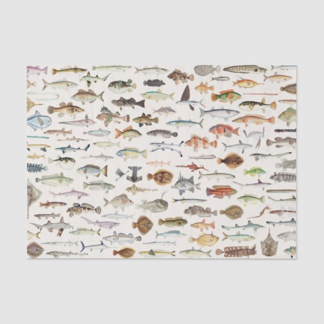 Papier Mousseline Pêche de poisson fête d'anniversaire (Recto)