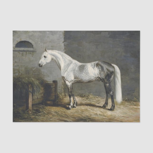 Papier Mousseline Peinture de Cheval gris pomme authentique (pas AI) (Recto)