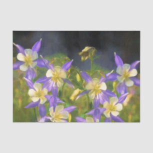 Papier Mousseline Peinture du Colorado Columbine bleu - art original