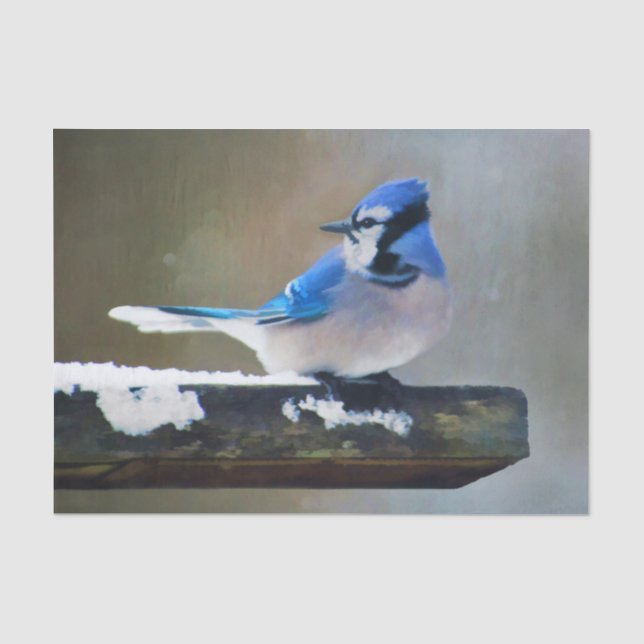 Papier Mousseline Peinture Jay Bleu - Art Oiseau Original (Recto)