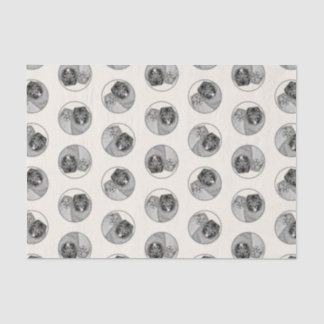 Papier Mousseline Peinture Keeshond 2 Keeshonden Original Chien Art