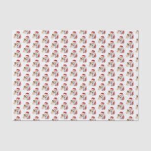 Papier Mousseline Père Noël et Sheltie