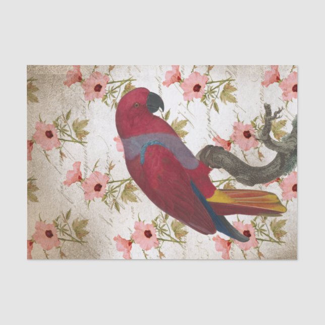 Papier Mousseline Perroquet rouge floral (Recto)