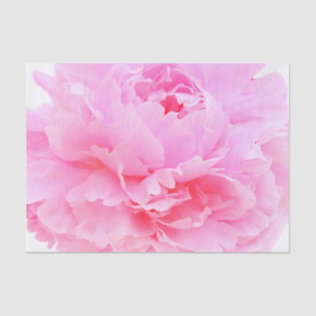 Papier Mousseline pétales roses (Recto)