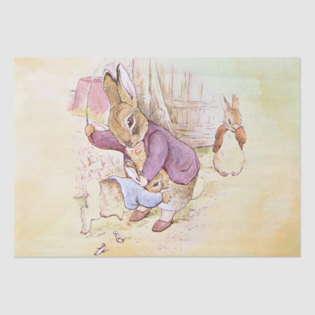 Papier Mousseline Peter Rabbit 9 Papier papier (Recto)