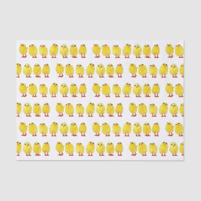 Papier Mousseline Petits poulets (Recto)