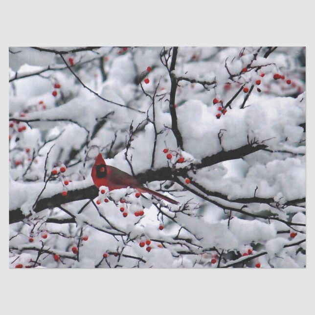 Papier Mousseline Photo Cardinal Arbre à Neige (Recto)