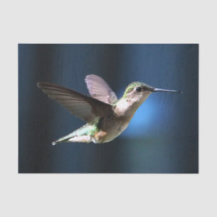 Papier Mousseline Photo de colibri sauvage