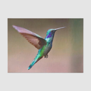 Papier Mousseline Photo de colibri vert de la faune