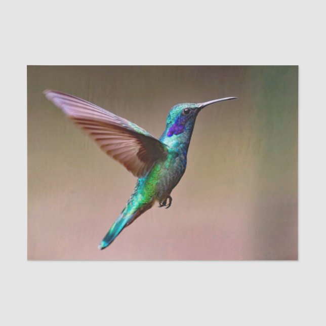 Papier Mousseline Photo de colibri vert de la faune (Recto)