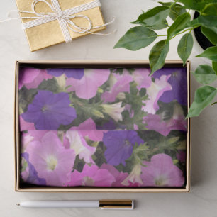 Papier Mousseline Photo Du Matin Gloire Fleurs Roses Et Violettes
