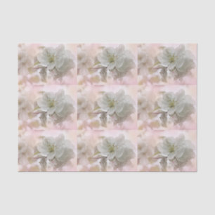 Papier Mousseline Photo en fleurs de pomme blanche