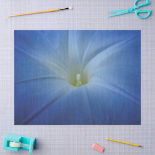 Papier Mousseline Photo Gros plan du matin bleu paradisiaque
