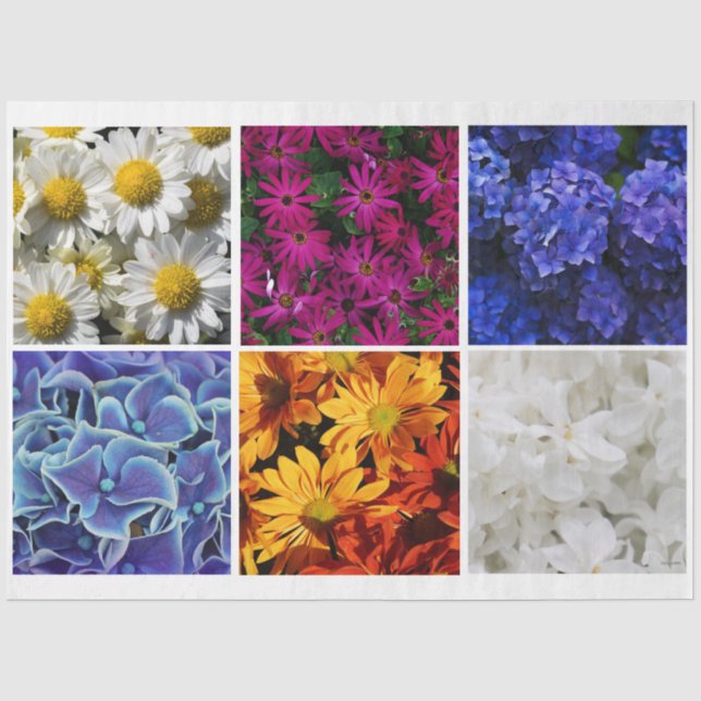 Papier Mousseline Photo Tissue Paper HAMbyWG (Recto)