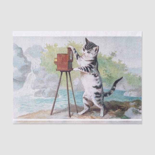 Papier Mousseline Photographe de chat ・ Helena Maguire (1860-1909) (Recto)