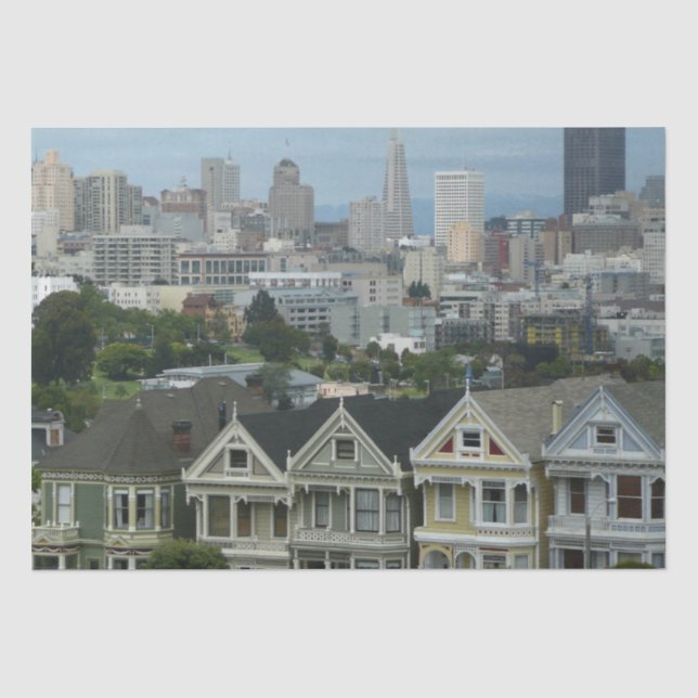 Papier Mousseline Photographe de San Francisco Postcard (Recto)