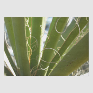 Papier Mousseline Photographie de la nature verte Feuille du Yucca