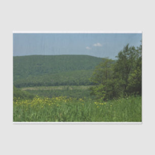 Papier Mousseline Photographie d'été dans les Laurel Highlands en Pe