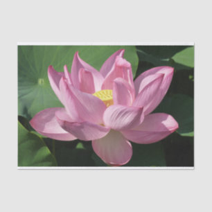 Papier Mousseline Pink Lotus Flower IV