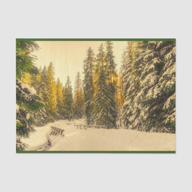 Papier Mousseline Pins couverts de neige Forêt Nature Photo (Recto)
