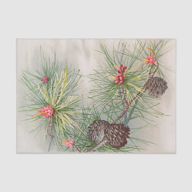 Papier Mousseline Pins et fleurs Découpage de Noël (Recto)
