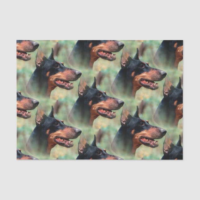 Papier Mousseline Pinscher de dobermann dans les bois (Recto)