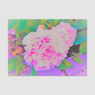 Papier Mousseline Pivoines roses électriques dans le jardin coloré