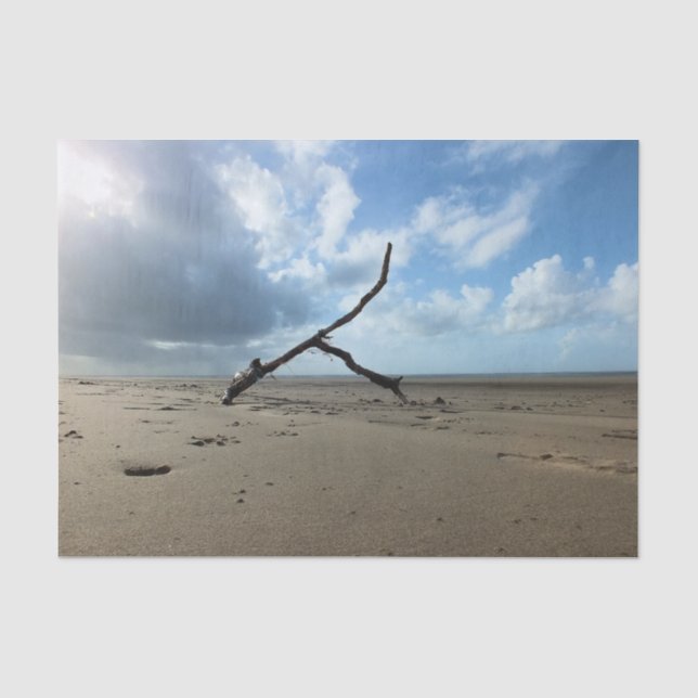 PAPIER MOUSSELINE PLAGE (Recto)