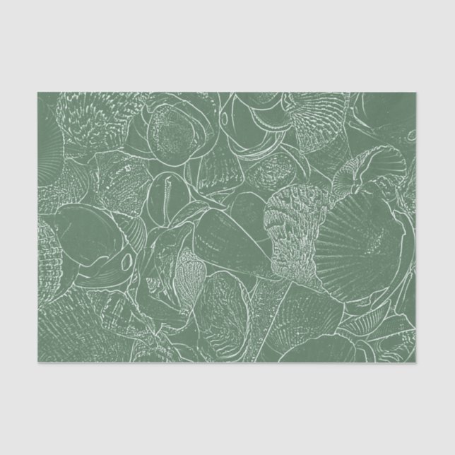 Papier Mousseline Plage Coastal Sea Shell Vert Blanc Découpage (Recto)