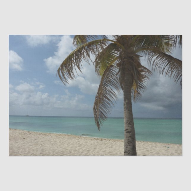 Papier Mousseline Plage d'Aruba I Belle Scène Nature (Recto)