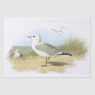 Papier Mousseline Plage d'oiseaux de mer vintage Plage d'herbe Océan