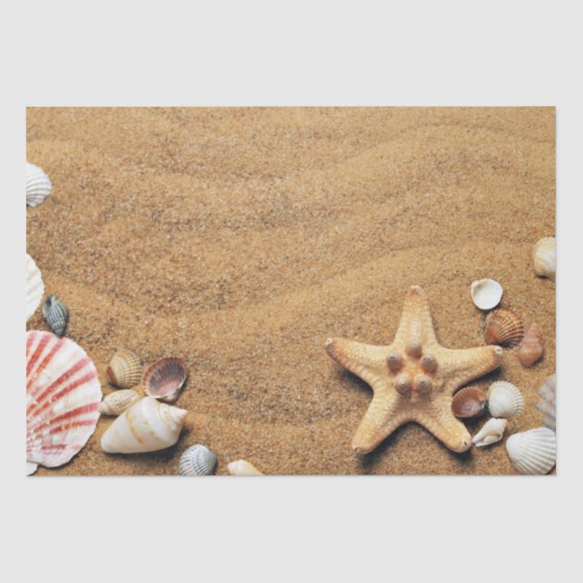 Papier Mousseline Plage Holiday Seashells (Recto)