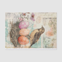 Plaisir du printemps : Oiseaux et Oeufs pour Pâque