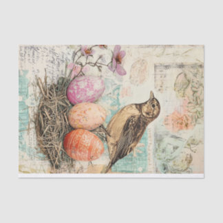 Papier Mousseline Plaisir du printemps : Oiseaux et Oeufs pour Pâque