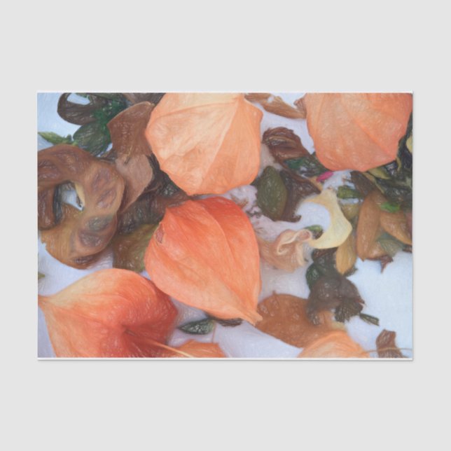 Papier Mousseline Plante de lanternes chinoises orange d'automne (Recto)
